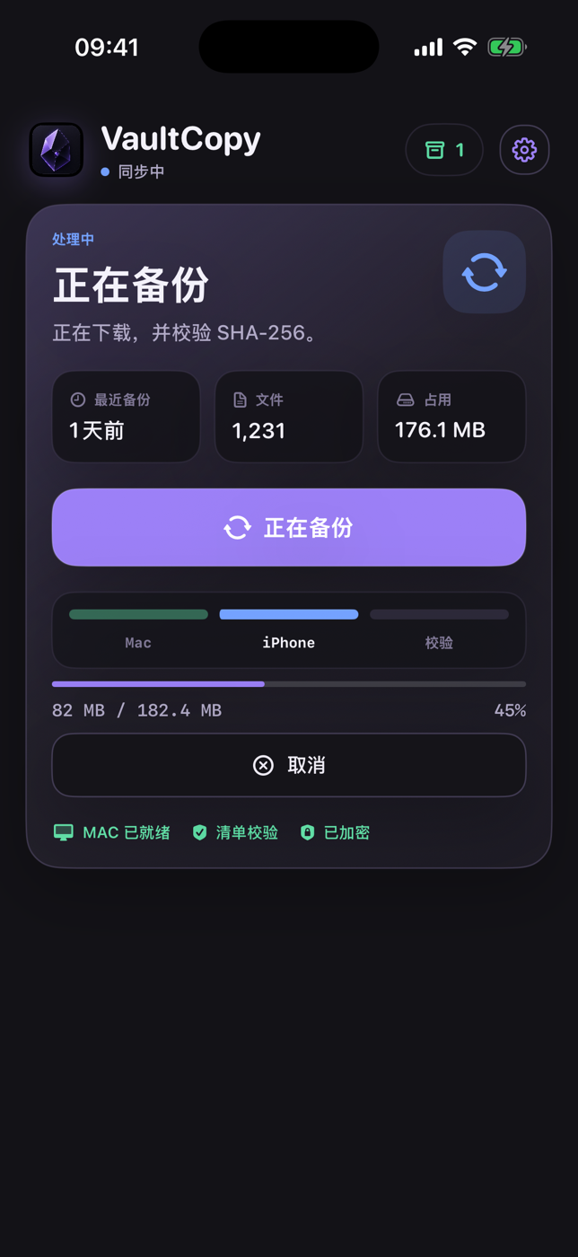 VaultCopy 从 Mac 备份到 iPhone 的传输和校验进度